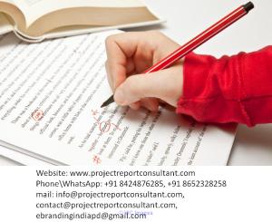 Premium Quality Dissertation Editing Business