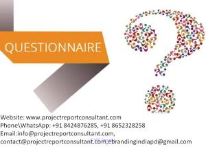 Top Quality Questioner Preparation Service for Dissertation Writing