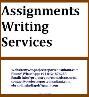 Assignments Writing Services