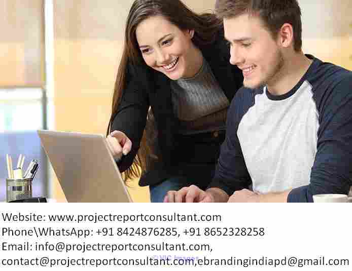 Essays Writing Services from projectreportconsultant.com