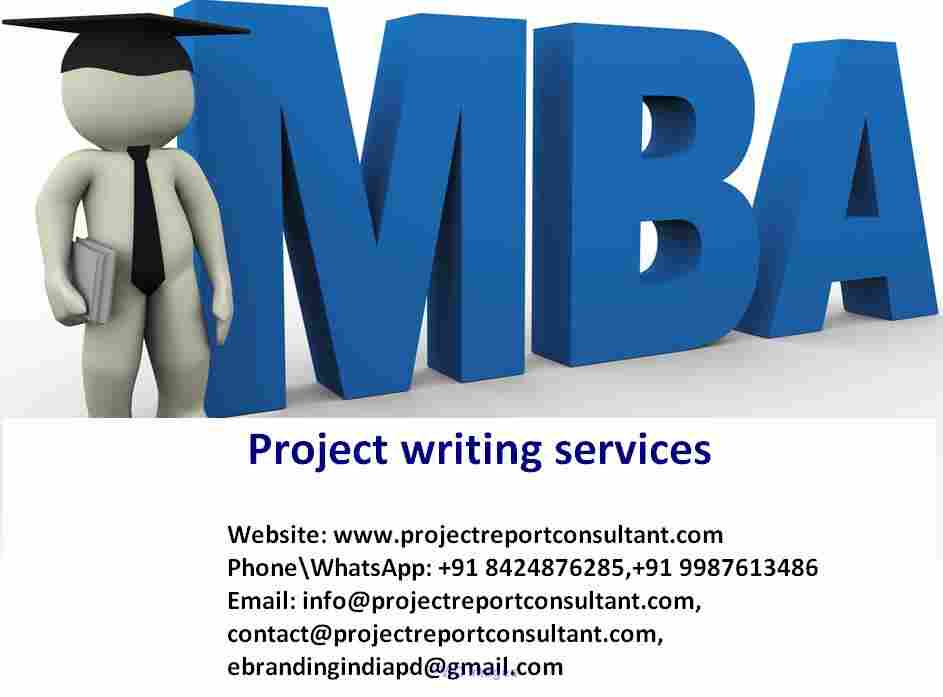 Get the Best Literature Review Writing Services for MBA Projects in In