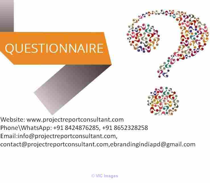 Top Quality Questioner Preparation Service for Dissertation Writing