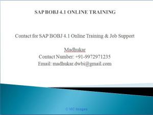 SAP BOTraining Online & Job Support 