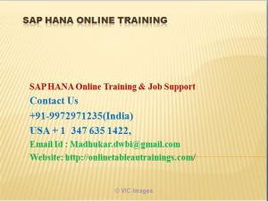 SAP HANAOnline trainig & Job Support 