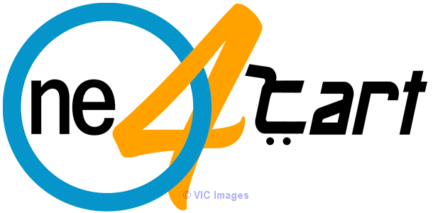 best ecommerce platform in USA