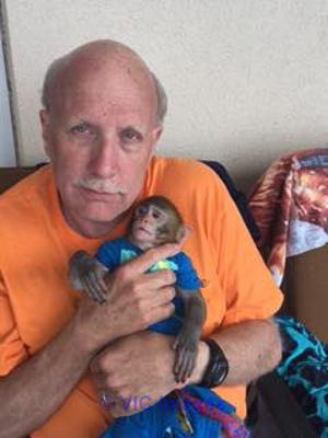 Femelle bebe singe pour adoption