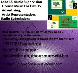 looking for business partner, investor