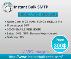 Dedicated Bulk email servers are perfect for professional organi