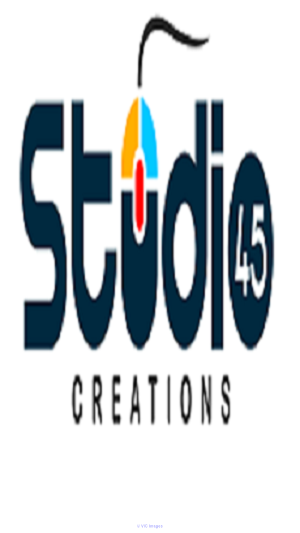Need to Redesign Website in USA - Studio45creations