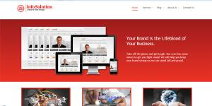 Web Hosting Company In USA