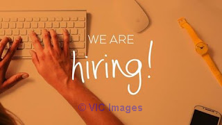 Content Writer, bloggers wanted $30 per 450 words
