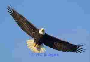 Water Treatment Systems and Water Filtration - Eagle Industries Corp