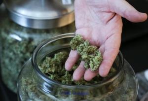 ** BEST SALES!! Weed Strains - Blue Dreams and Research Chemicals