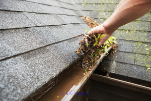 Find a Local Roofer or Get Estimates from the Best Milton Roofing Prof