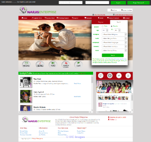 you will Developing to php matrimonial script  online
