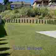 "Excellent Commercial Landscape Maintenance Services "