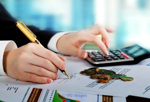 Financial Surport to Individual