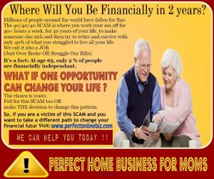 Automated Home Online Business For Moms