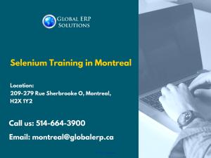 Selenium Training in Montreal 