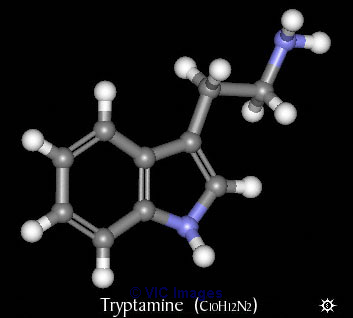 Lysergic Supplier 4-HO-MiPT