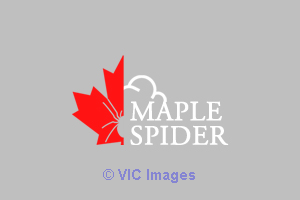 Top Web Design & Development company in Calgary, Canada