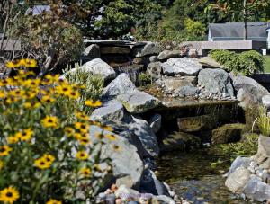 Best Langley Commercial Landscape Maintenance Service