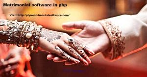 You should expanding to your own matrimonial software business online