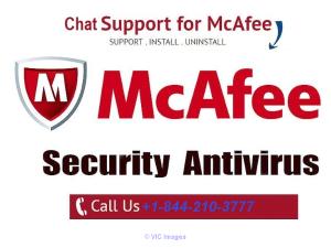 Toll-Free +1-844-210-3777 McAfee Support Helpline Number