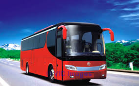 shree Travels and Transport Company.