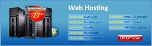 Web Hosting with Unlimited Features 24x7 Support, Reliable Service