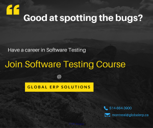 Software Testing-Manual / Automation / SELENIUM / QTP Training