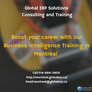  Business Intelligence (BI) Training & Project with Placements