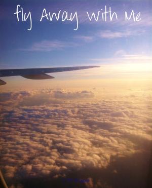 To Become An Airline Pilot, Pour Devenir Pilote de Ligne, 