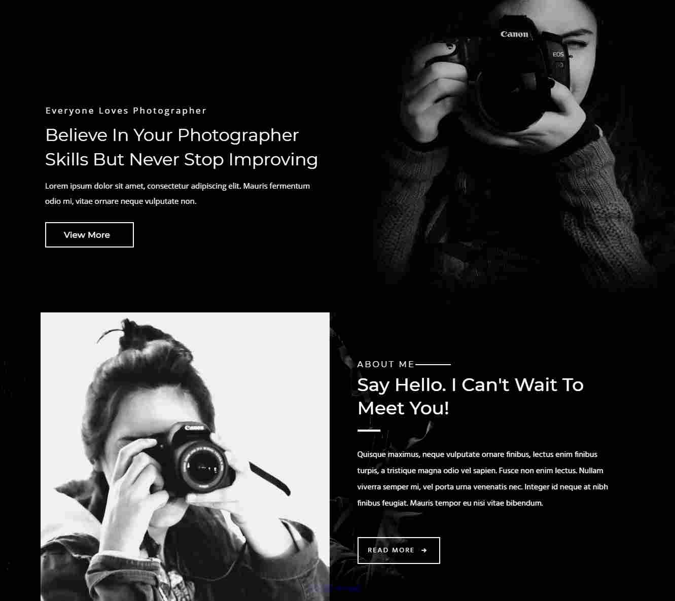 Roobia Portfolio WordPress Theme for Photographers by zozothemes