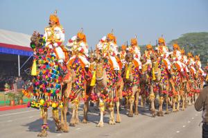 India Tour Packages, Trip To India