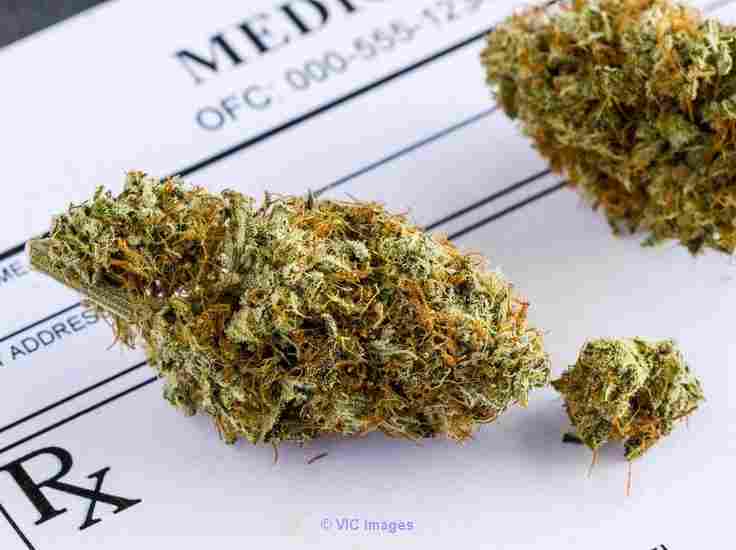 Buy Dutch Treat from BudExpressNow.ca