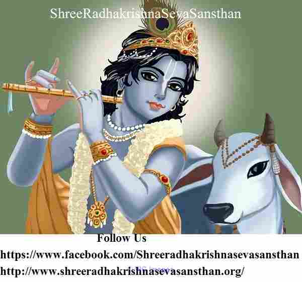 Shree Radha Krishna Seva Sansthan , Shreemad Bhagwat Katha kanpur