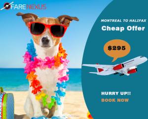Book Return Flight from  Montreal - Halifax $295