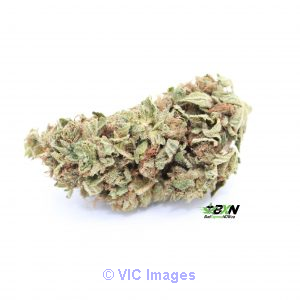 Green Crack - Buy Cannabis Online Canada