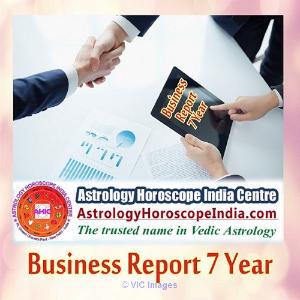 Business Report 7