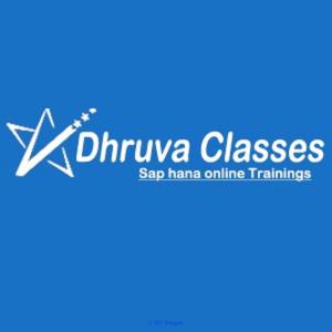 Dhruva Classes Online Training