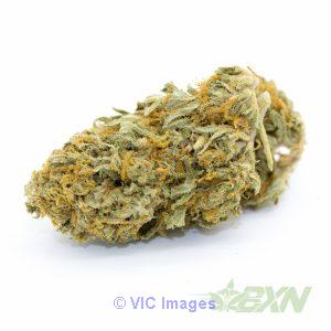 buy best quality medical products (violator) from weedmaps