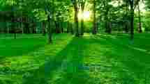 Chennai Mysouth Travels Very Cheap Rates