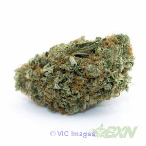 Dark Side of the Moon- BudExpressNow.ca