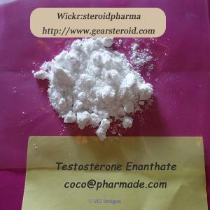 Online Buy Testosterone Enanthate Anabolic Steroid