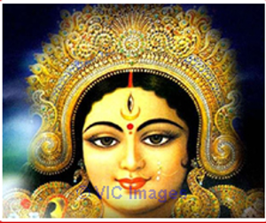 If you want astrology services for your problems +91 9876860627