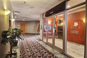 Downtown 3 1/2 condo apt all included avail. May, June or July