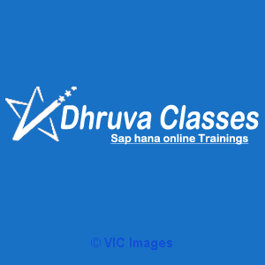 Choose SAP HANA course at Dhruva classes