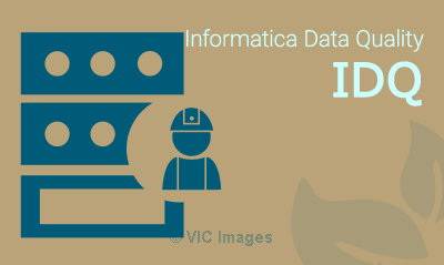 Informatica MDM Training With live Demo 