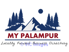 Music and Entertainment in Palampur.